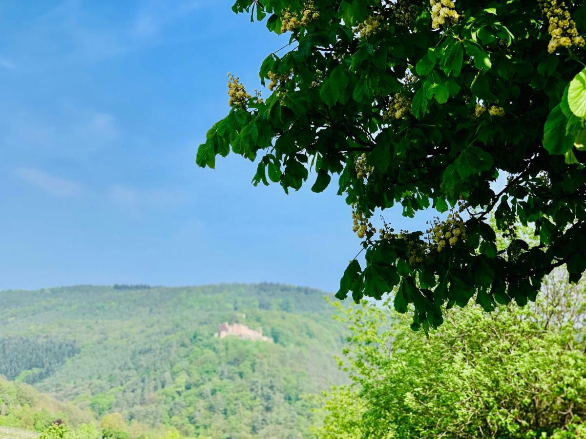 Villa Mandelbluete Gleiszellen-Gleishorbach Zewnętrze zdjęcie